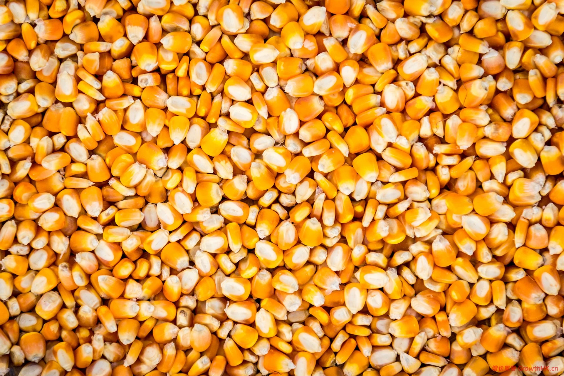 正大种业业绩持续承压：每年3亿买理财，产能利用率不佳