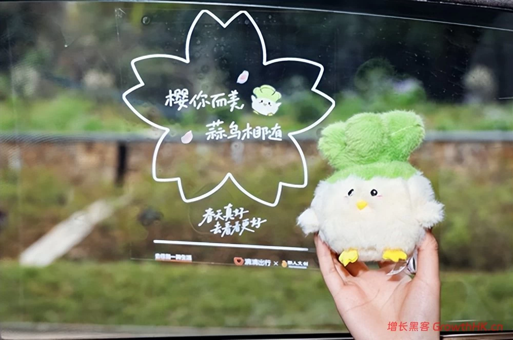 滴滴在多地推出赏花出行6折起优惠 助力用户轻松春游