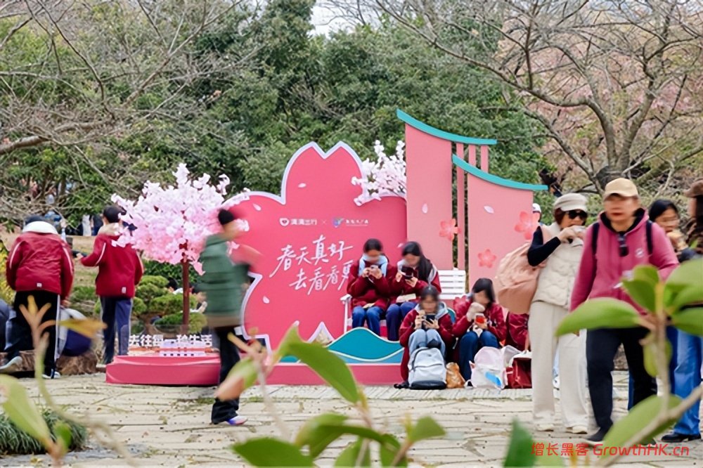 滴滴在多地推出赏花出行6折起优惠 助力用户轻松春游