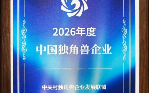 通用大模型搞不定的教育赛道，伴鱼靠“专用系统”拿下独角兽
