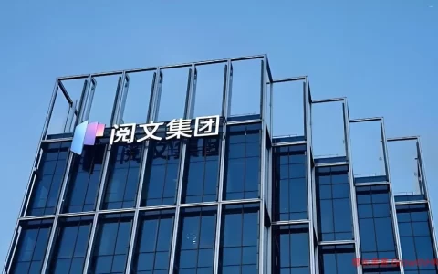 73亿营收、18亿减值：一份阅文的“去重”的账本