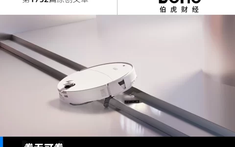 石头科技：卖得越多，赚得越少