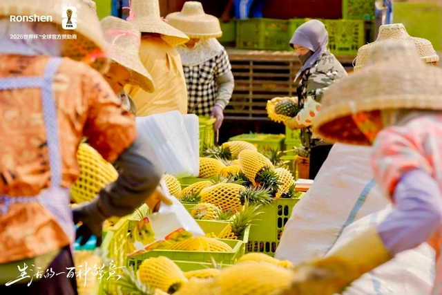 容声冰箱“寻鲜之旅”走进徐闻 携手菠萝产业解锁原产地新鲜密码