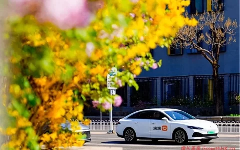 滴滴AI打车用户增长37倍 00后占比超40%