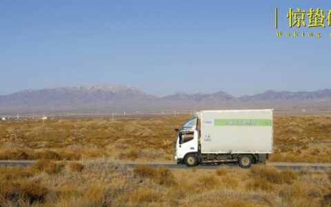 “北菜南运”沙漠菜，丰盛了谁的餐桌？