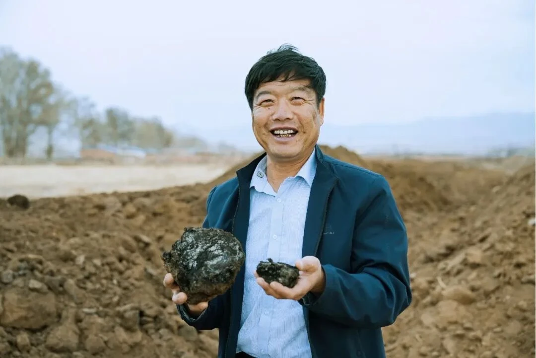 “北菜南运”沙漠菜，丰盛了谁的餐桌？