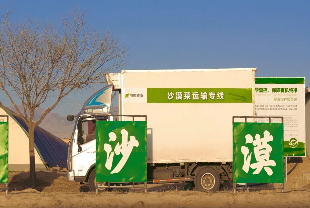 “北菜南运”沙漠菜，丰盛了谁的餐桌？