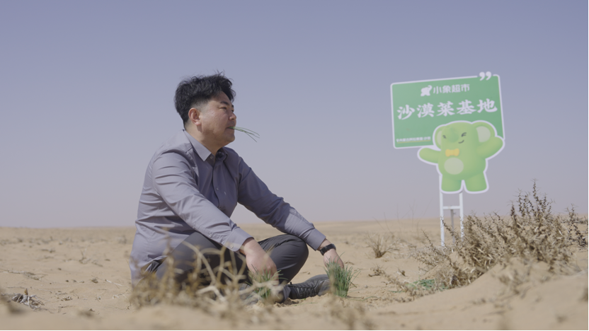 “北菜南运”沙漠菜，丰盛了谁的餐桌？