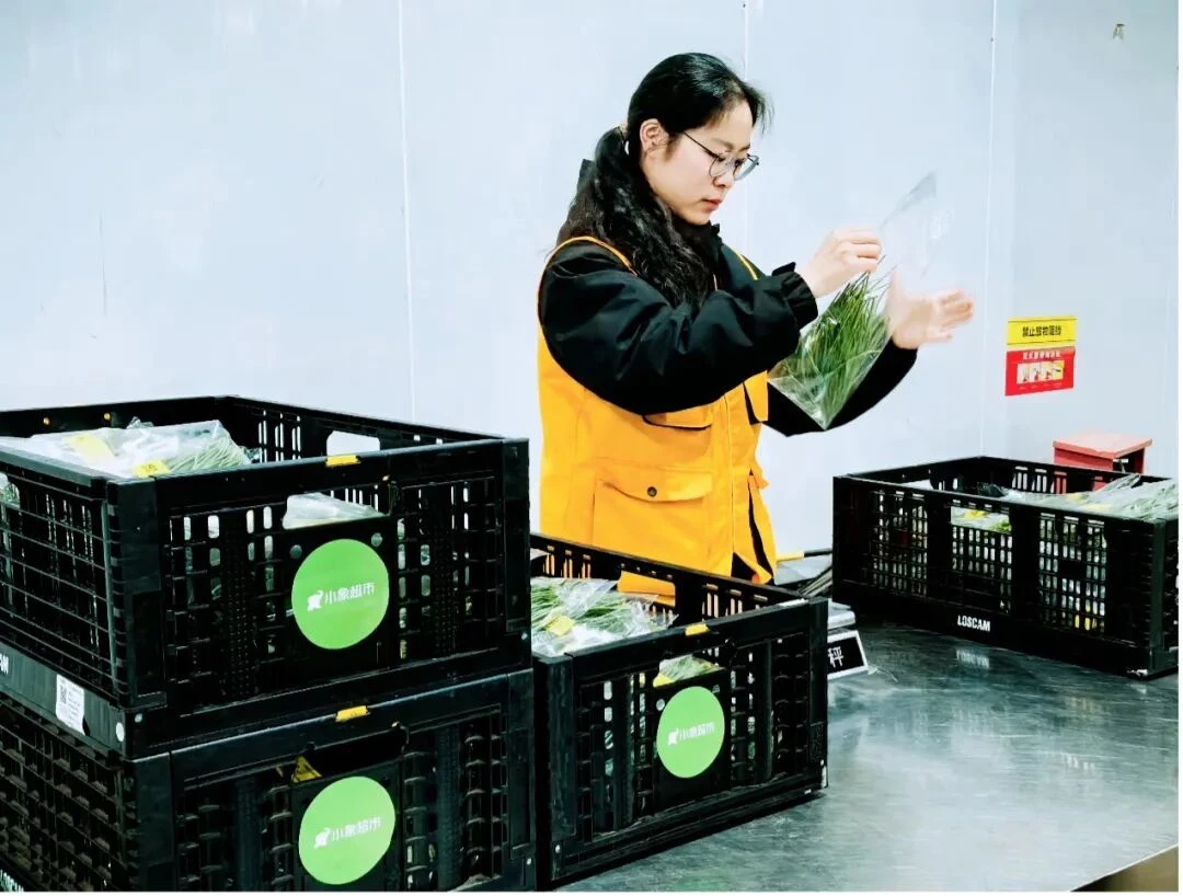 “北菜南运”沙漠菜，丰盛了谁的餐桌？