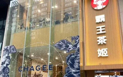 霸王茶姬上市首年净利腰斩：股价暴跌，外卖大战下“伯牙绝弦”遭围猎