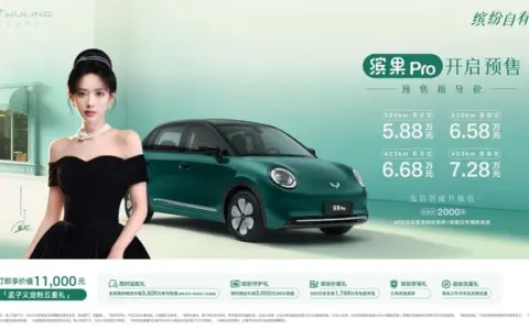 预售价5.88万起，“A0级精致代步车新标杆”缤果Pro开启预售