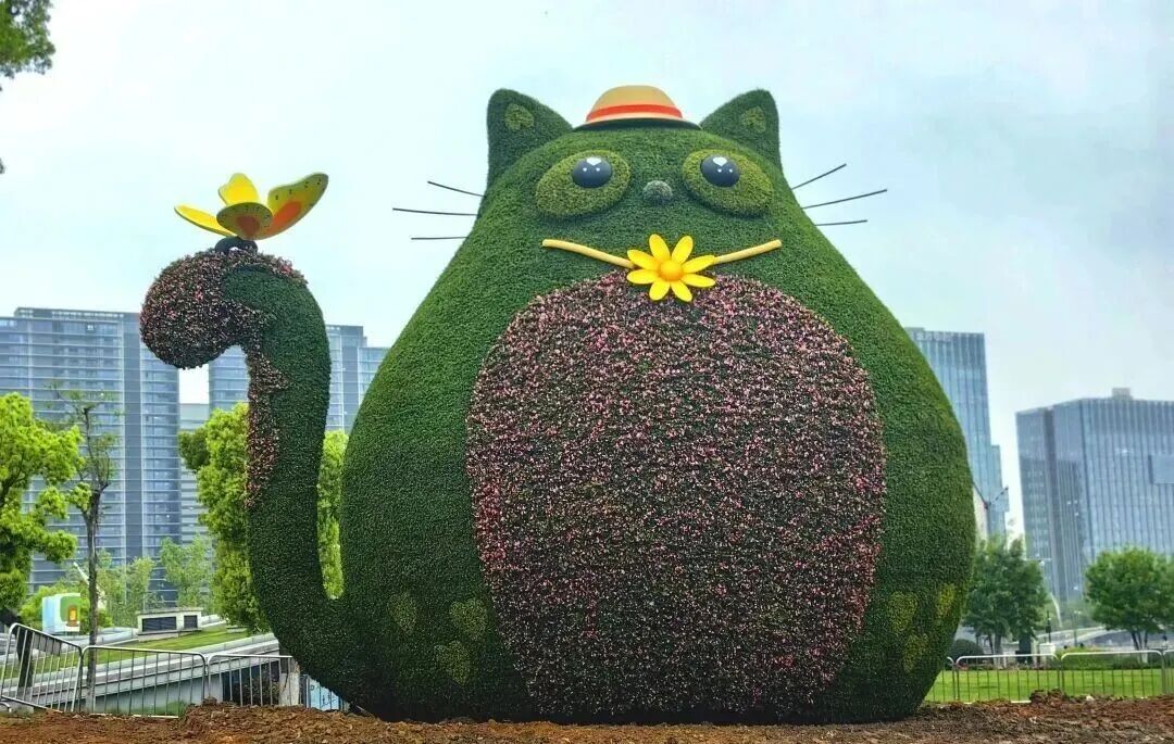 一个湖靠“像猫”干成了顶流