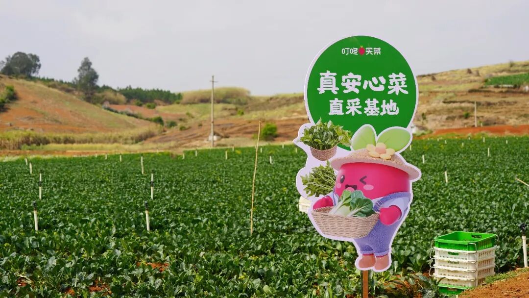 叮咚买菜给一把韭菜设下“九道关”