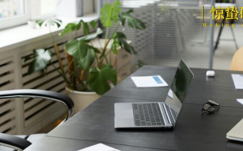 AI创业时代，一人公司的七种打开方式