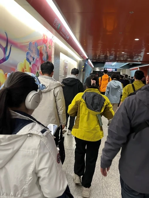 一百多买伯希和，这届年轻人在性价比里“冲锋”