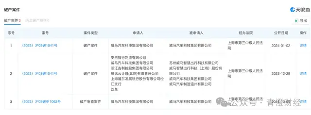 试探涨价的背后，新能源车企正在经历一场“成本窒息”