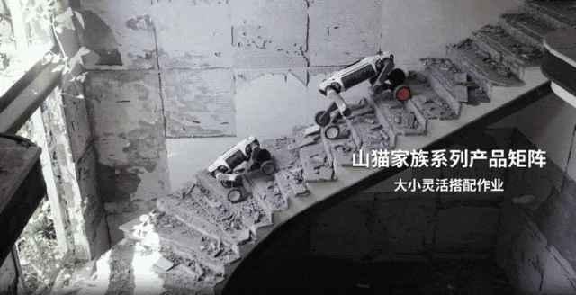 双击查看原图 图片