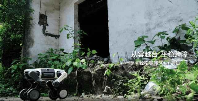 双击查看原图 图片