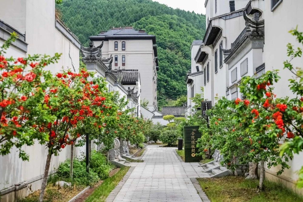 第一批逃离高温的人,已经在吉林住下了