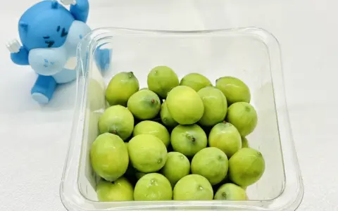 助海南种出“怕热”甜心莲子，盒马图的是什么？