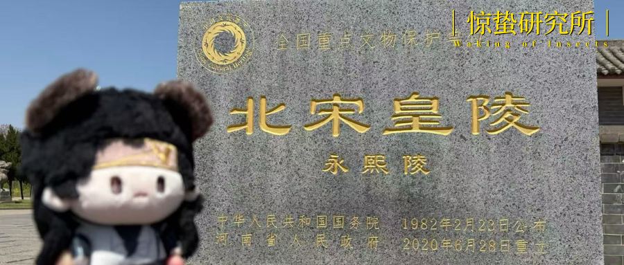 不追顶流追“古流”，这届年轻人开始「上坟式追星」