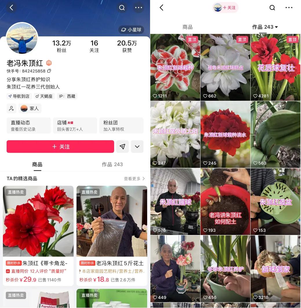 把三角梅卖到西藏：快手电商里的小商家，和他们的慢生意