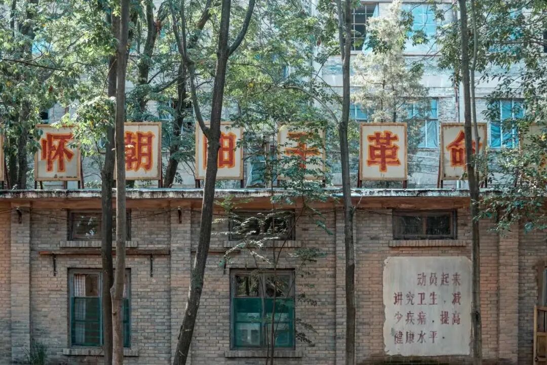 一部《主角》,让西北文旅原地“起飞”