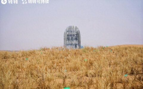 从循环经济到荒漠治理：转转集团“转转生态林”落地腾格里沙漠