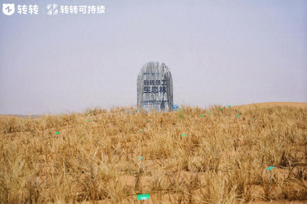 从循环经济到荒漠治理：转转集团“转转生态林”落地腾格里沙漠