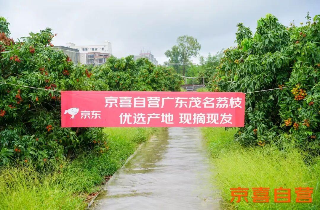 京东复刻新的“荔枝道”：没有驿马，只有冷链