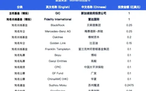 “物理AI第一股”Momenta获14家超豪华基石护航：世界模型点燃物理AI的“GPT时刻”