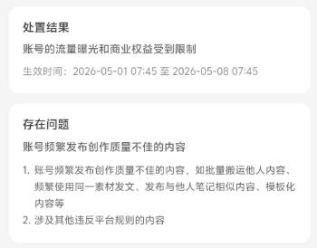 小红书的乌托邦,装不下商业化
