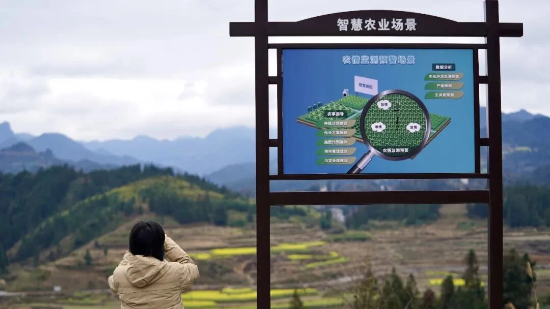 重仓中国供应链,拼多多交出新答卷