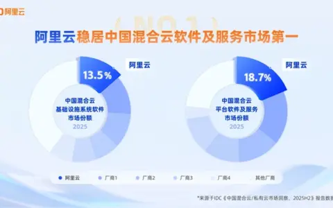 IDC报告：阿里云稳居中国混合云软件及服务市场第一