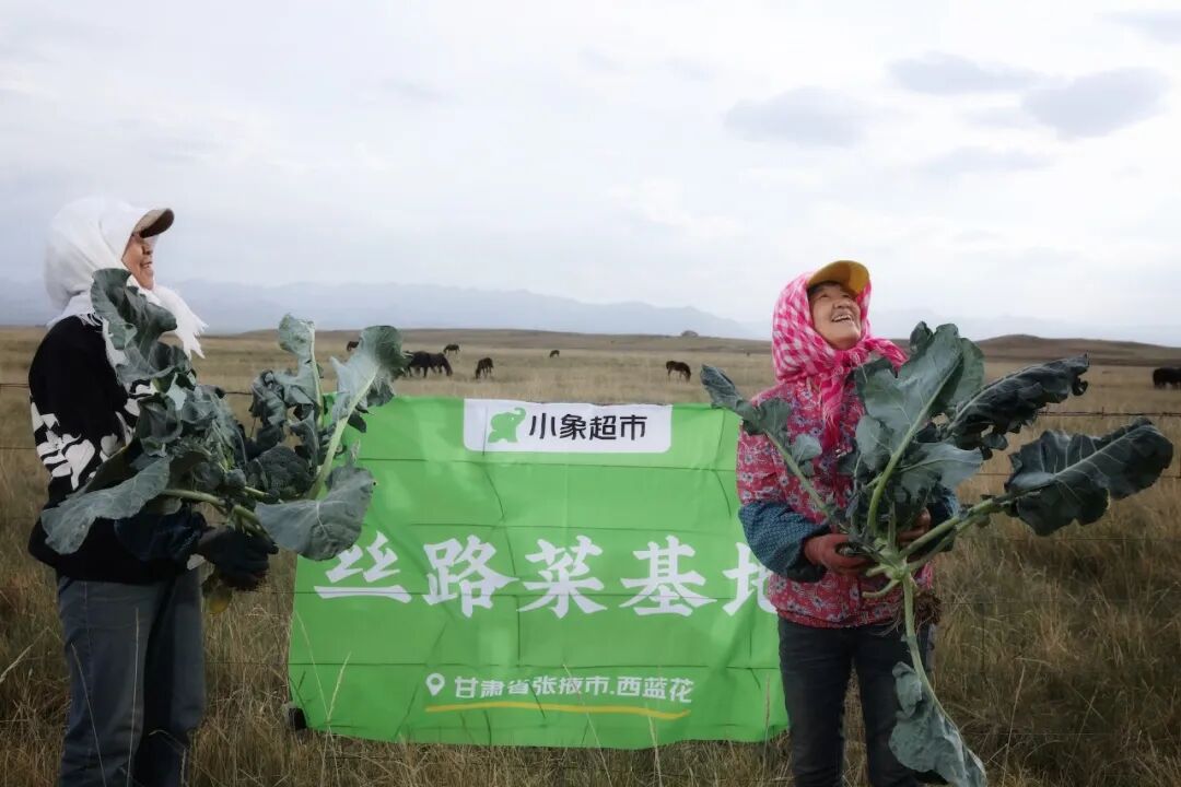 向东2800公里,一颗西蓝花的“鲜”活历程