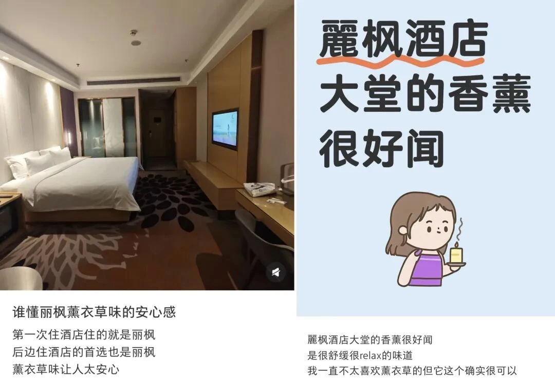 门店破千家的麗枫,为什么还要跟自己“过不去”?