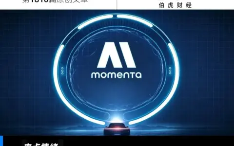 踩着物理AI的风口，Momenta冲刺IPO