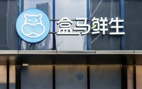重回扩张的盒马，还有短板要补