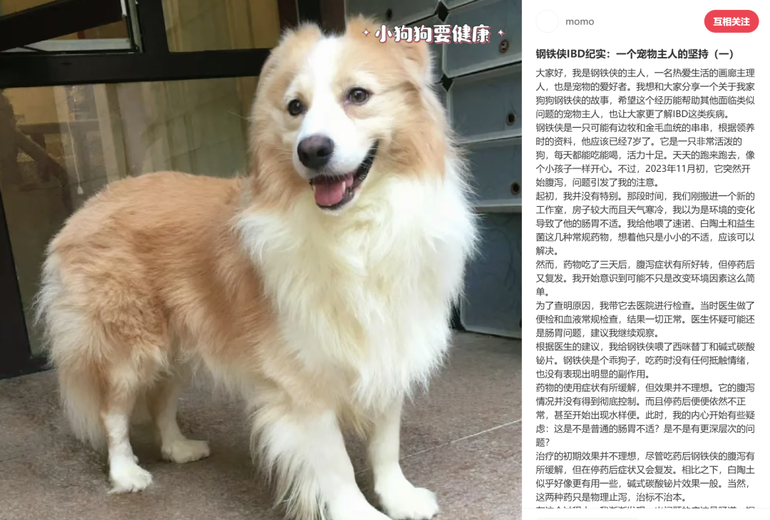 给猫狗把脉,宠物“中式养生”是智商税吗?