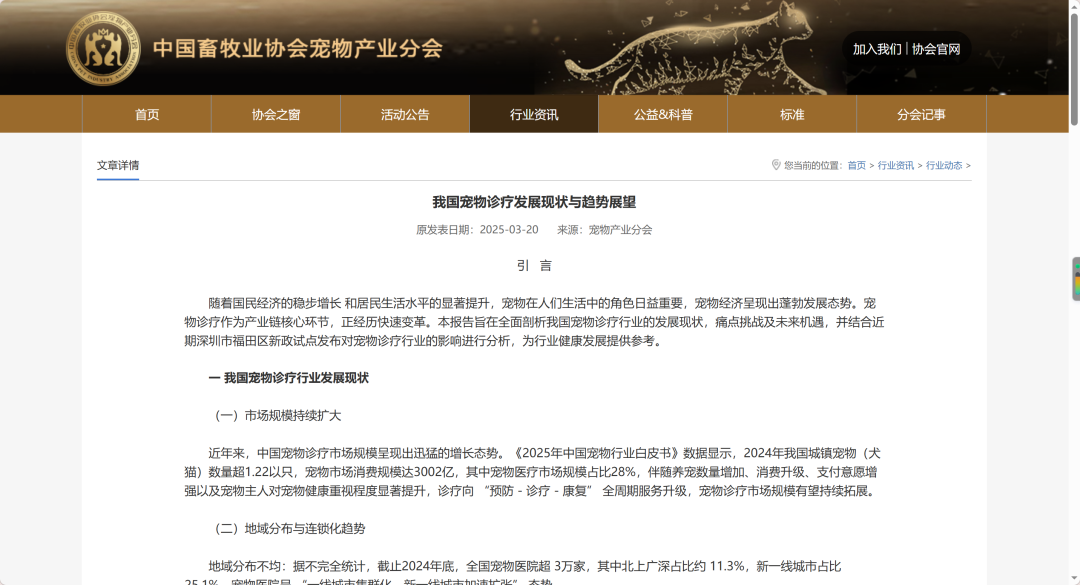给猫狗把脉,宠物“中式养生”是智商税吗?