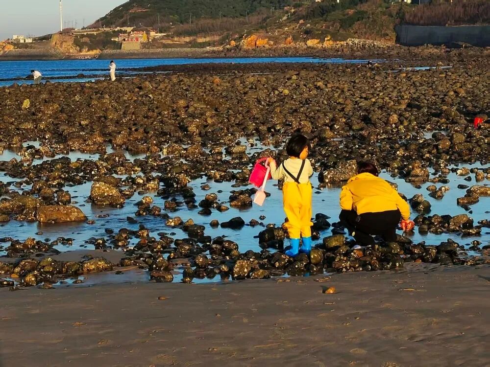 这届游客,开始把民宿住成“体验课”