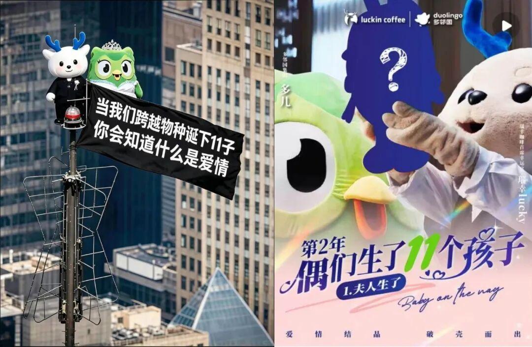 3.6万家瑞幸，正在“围剿”瑞幸