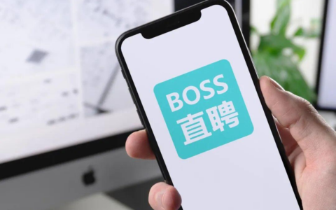 从蓝领到AI，BOSS直聘如何把“小招聘”做成大生意？