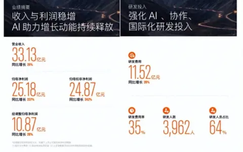 金山办公半年报：营收增长24.69%，经调整后净利润增长28.29%