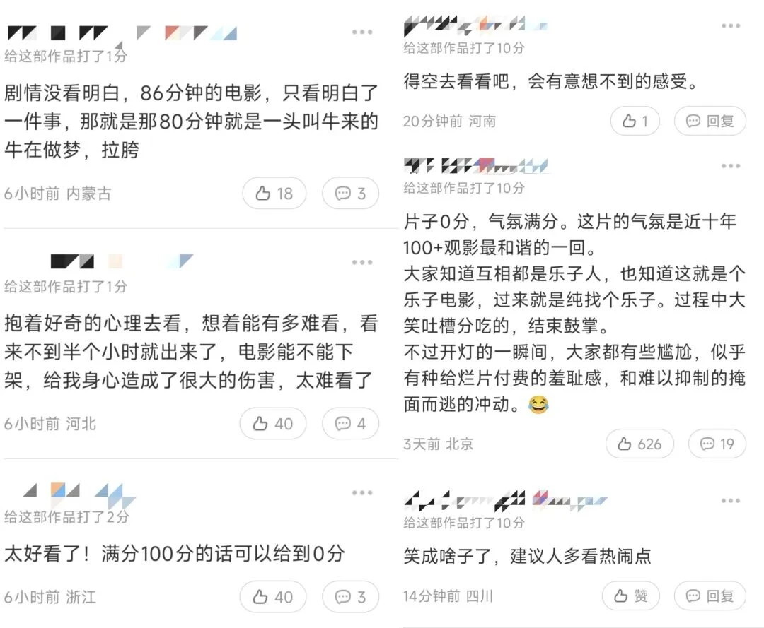 《牛来》票房破2000万,那些“看不懂的出圈”到底为什么?