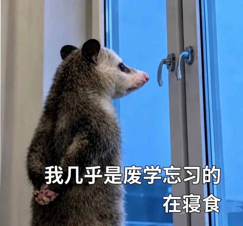 AI教育卷了这么久,豆包开始卷“世界观”了