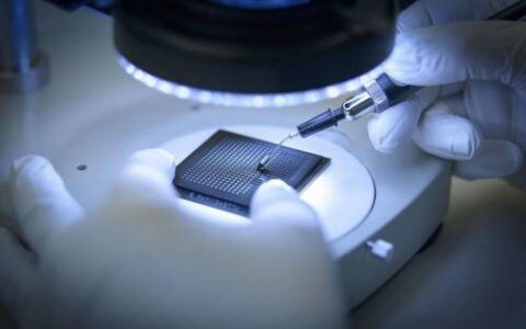 季丰电子毛利率下降：固定资产账面价值飙升，实控人持续套现数千万