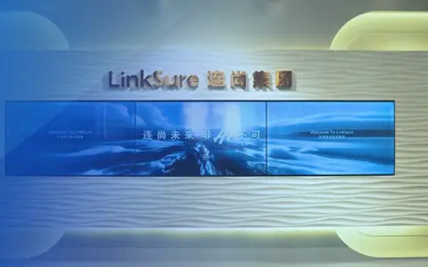 连尚集团入选上海市首批算力生态合作伙伴名单