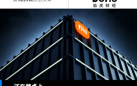 小米的悬念