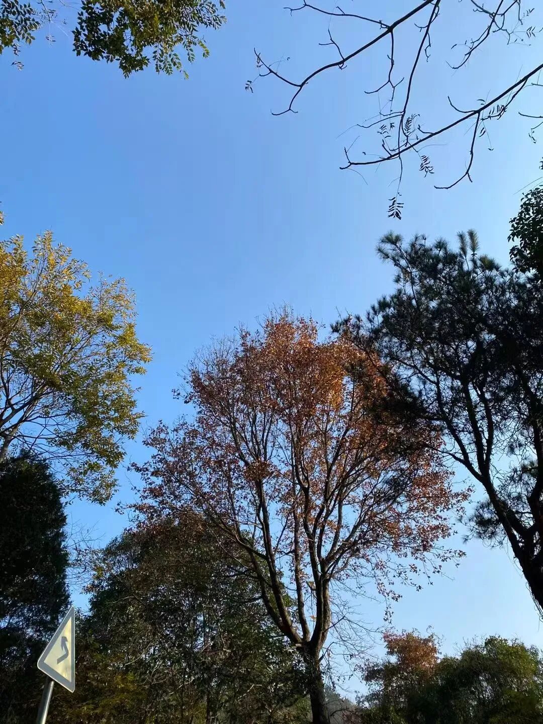 一线访谈丨立遗嘱的年轻人,选择向死而生